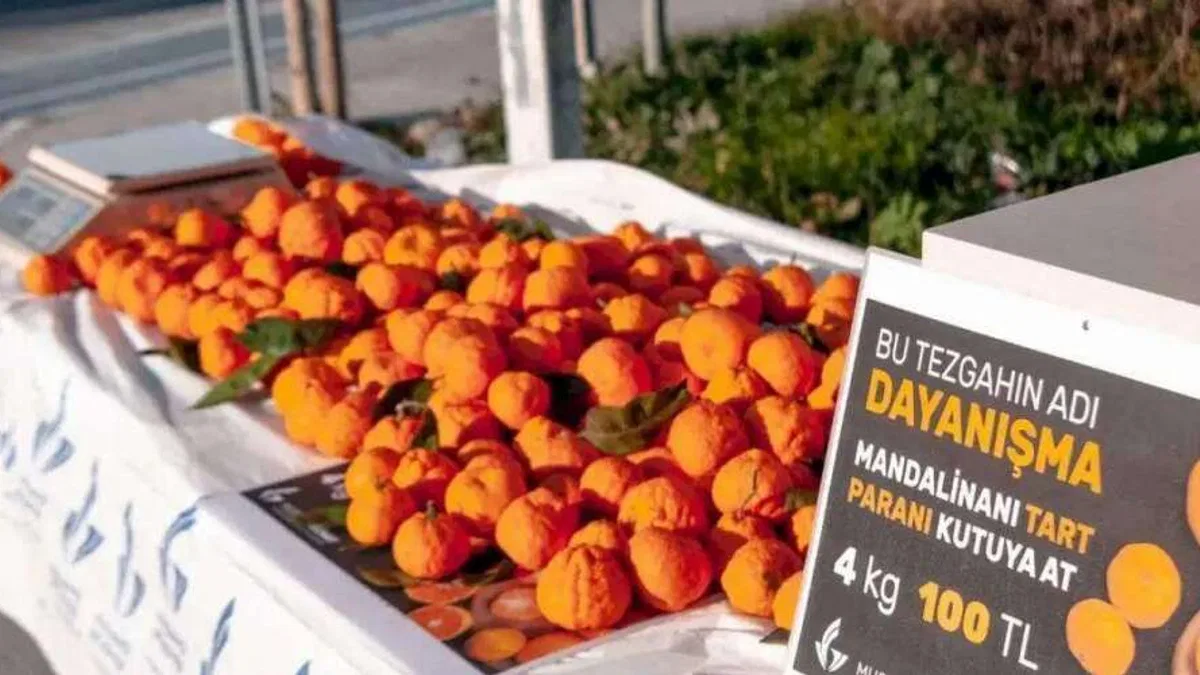 İzmir Güzelbahçe'de güven esaslı dayanışma... Tart ve parasını kutuya at!