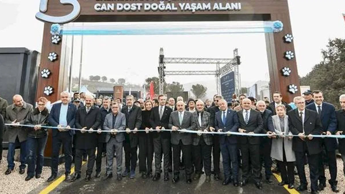 Balıkesir’den sokak hayvanlarına sıcak yuva