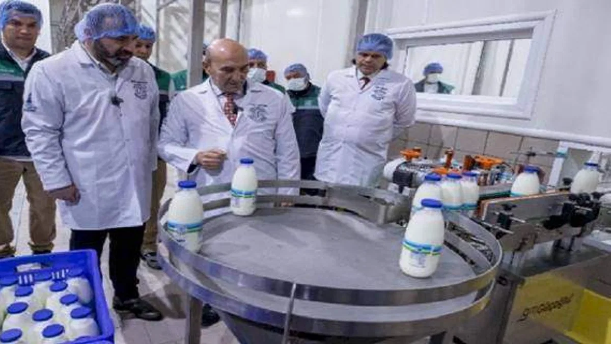 İzmirliler sütü ucuza içecek