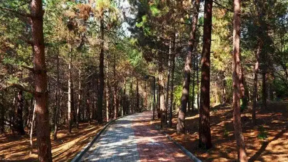 Sakarya'da Sapanca Gölü'nde huzur dolu yaşam alanı açıldı