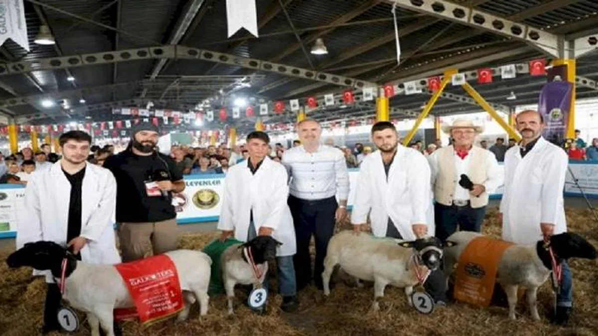 Türkiye’nin en kapsamlı küçükbaş hayvancılık festivali için geri sayım başladı