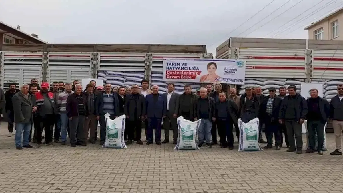 Büyükşehirden, üreticilere kuzu-oğlak yemi desteği
