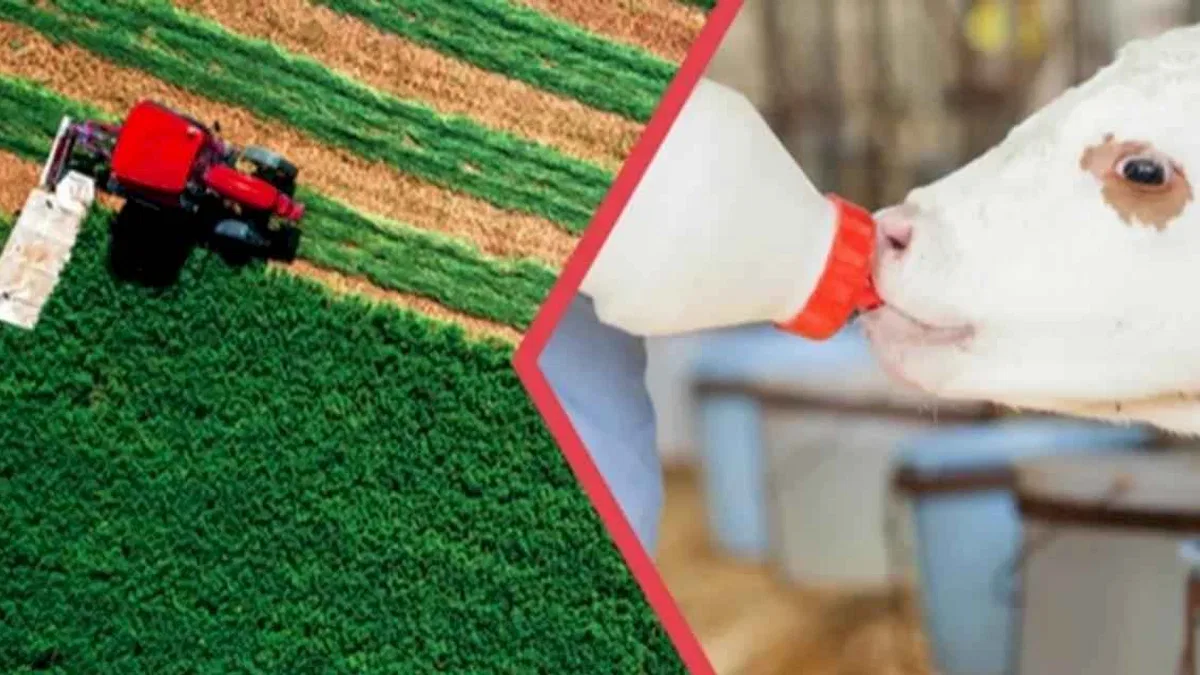 112 milyon TL'lik tarımsal destekler hesaplarda