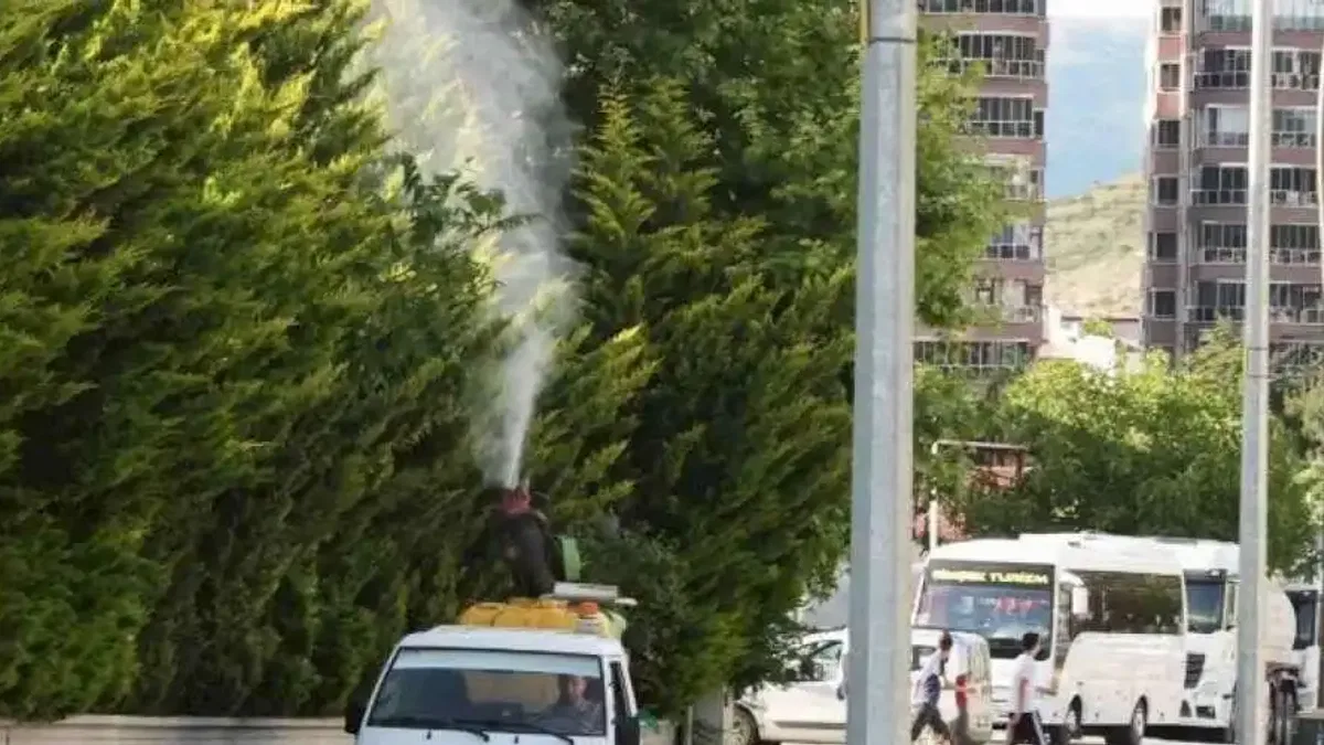 Tokat’ta sivrisinek, larva ve uçkun ile mücadele