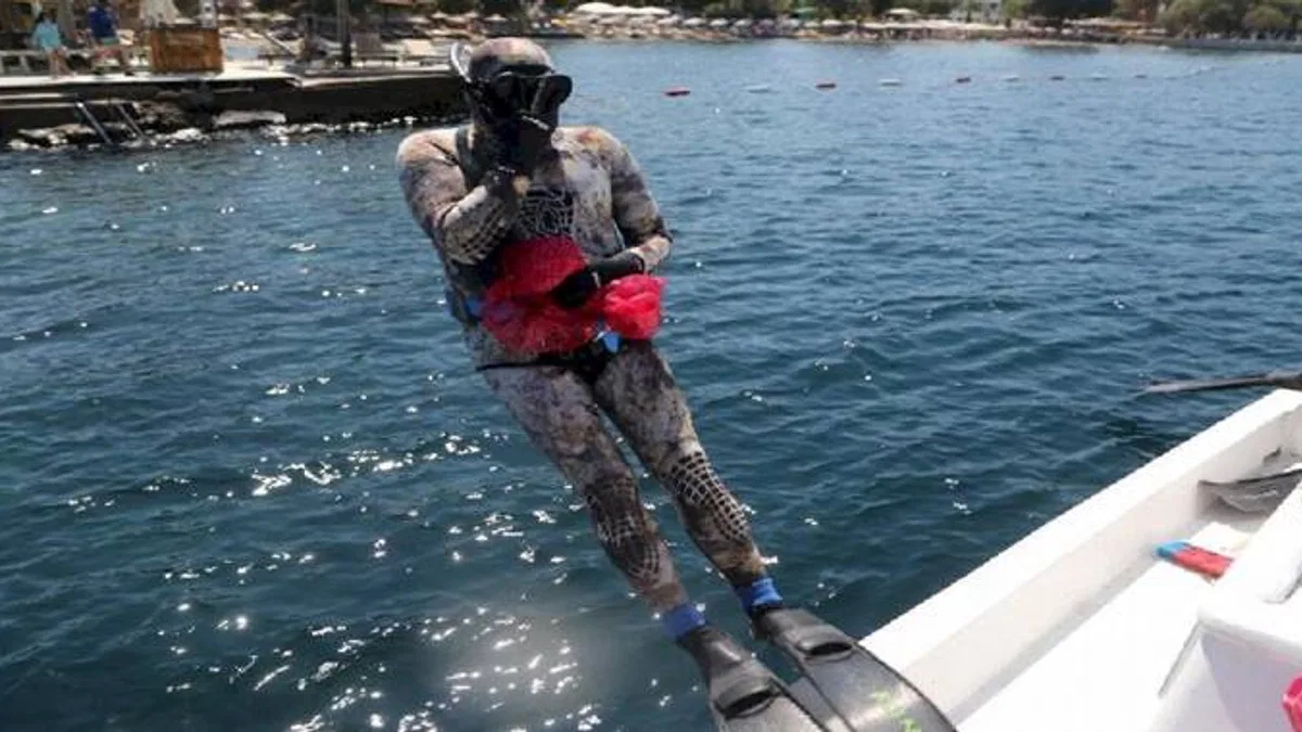 Bodrum'un dipleri şaşırtmaya devam ediyor!