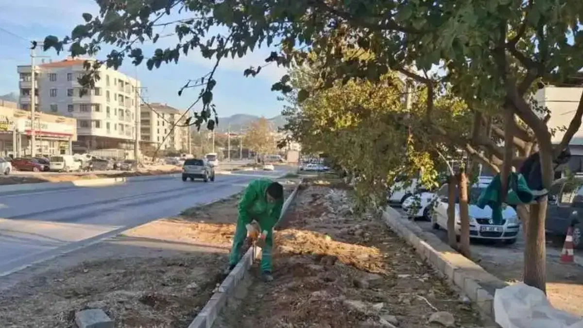 Muğla Milas'ın dört bir yanı yeşile bürünüyor