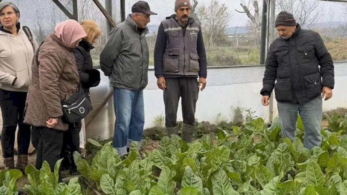 Kocaeli’de 65 yaş üstü bireyler tarımsal üretime katıldı