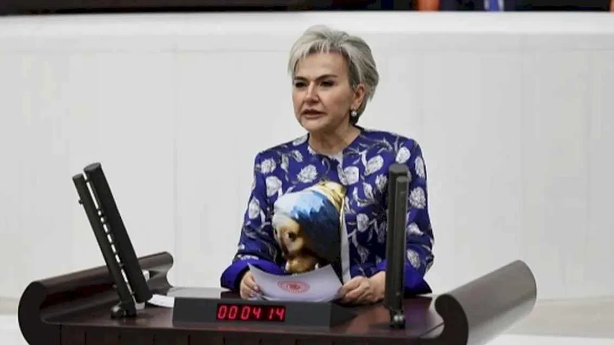 CHP'li Milletvekili Özdemir'den yeni kanun teklifi