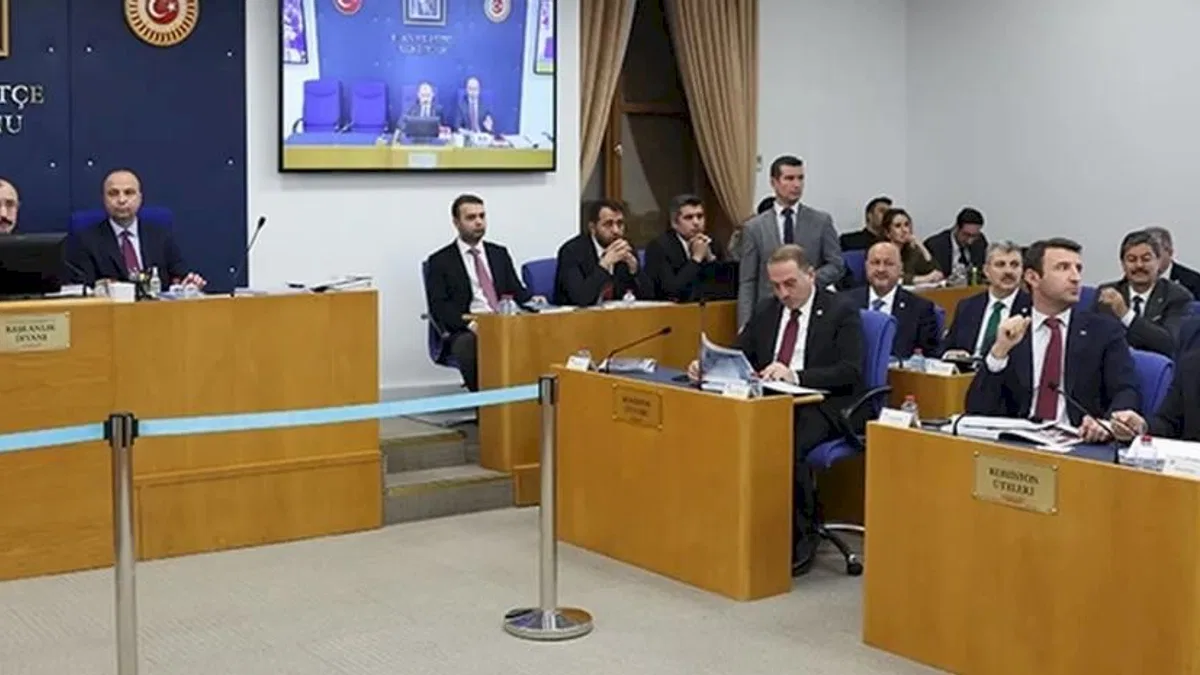 TBMM Plan ve Bütçe'de Türkiye Varlık Fonu'nun denetim raporları görüşülüyor