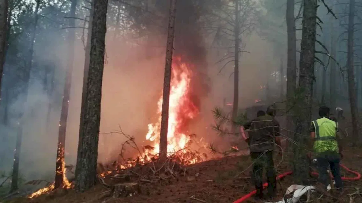 Muğla Büyükşehir orman yangınlarında tüm gücüyle sahada