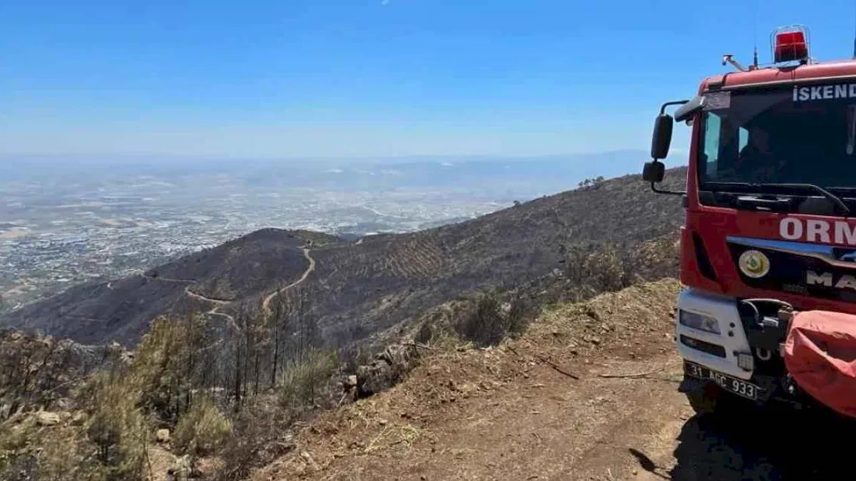 Hatay'daki orman yangını kontrol altında