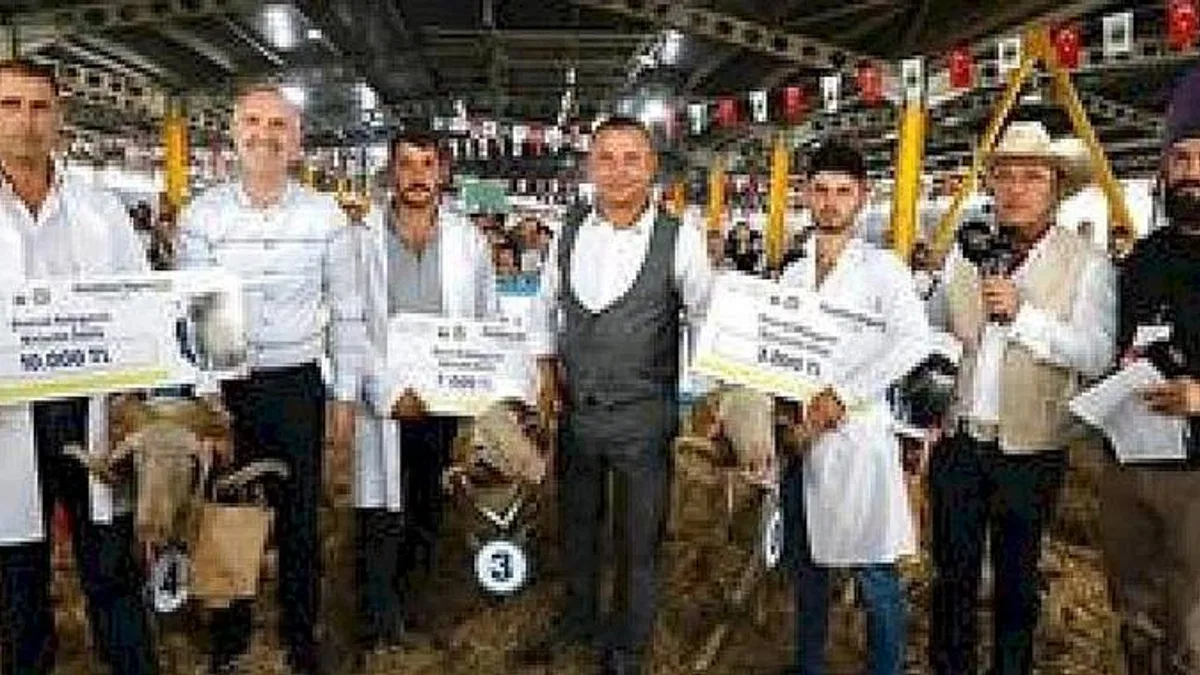 3. Küçükbaş Hayvancılık Festivali Başlıyor