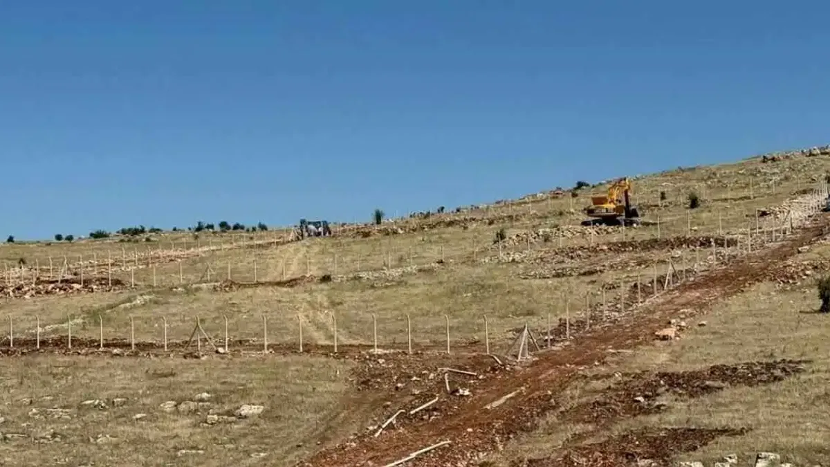 Mardin Artuklu Belediyesi’nden hayvan dostu projeler
