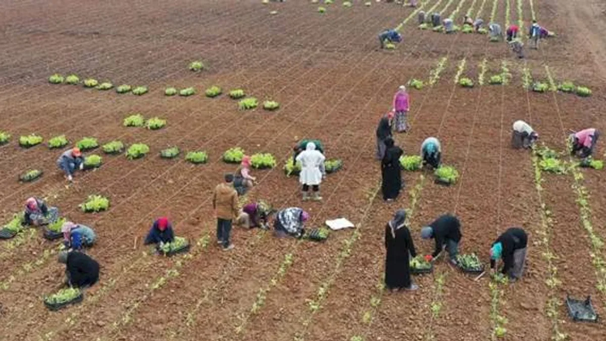 5 milyon fide toprakla buluşturuldu