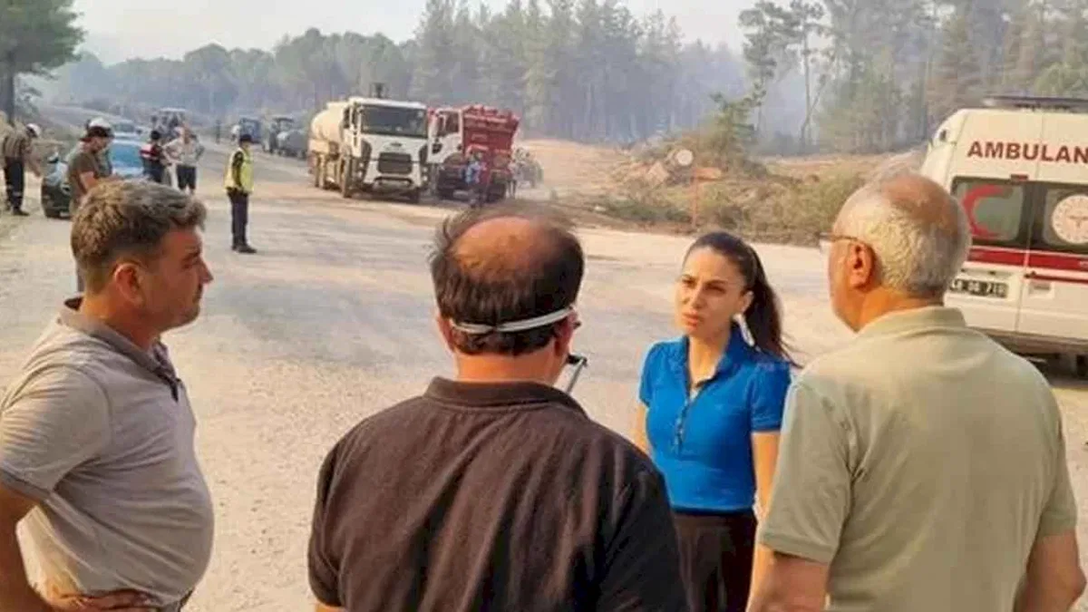 Muğla'daki yangınlar TBMM'ye taşındı... CHP'li milletvekili son 10 yılın hesabını sordu