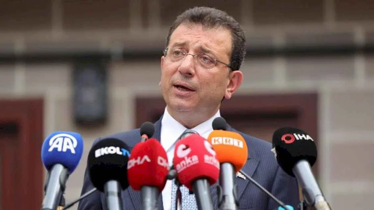 İmamoğlu: 'Kısırlaştır-Aşıla-Yaşat' politikası seferberlikle yönetilmelidir