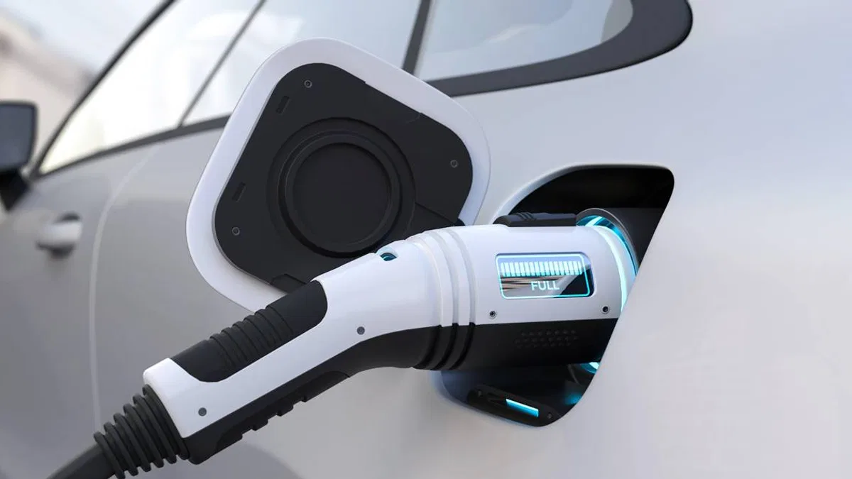 'Elektrikli aracı şarj eden enerji de temiz olmalı!'