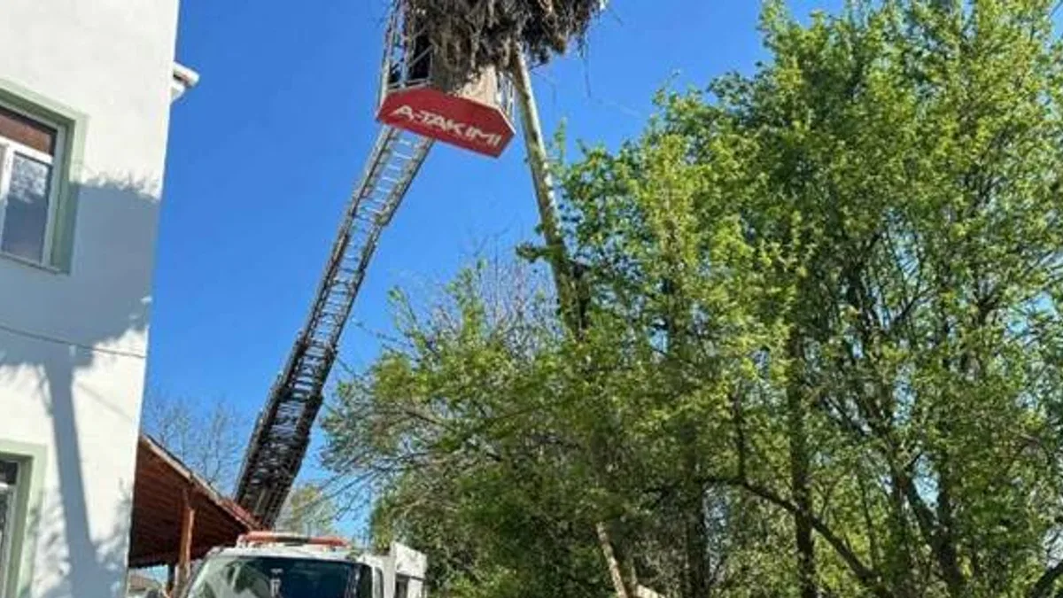 Leyleklerin yuvası yıkılmaktan kurtarıldı