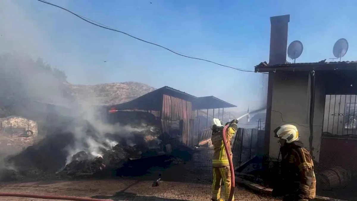 İzmir Bayındır’da ot yangını yerleşimi tehdit etti... 100 kişi tahliye edildi