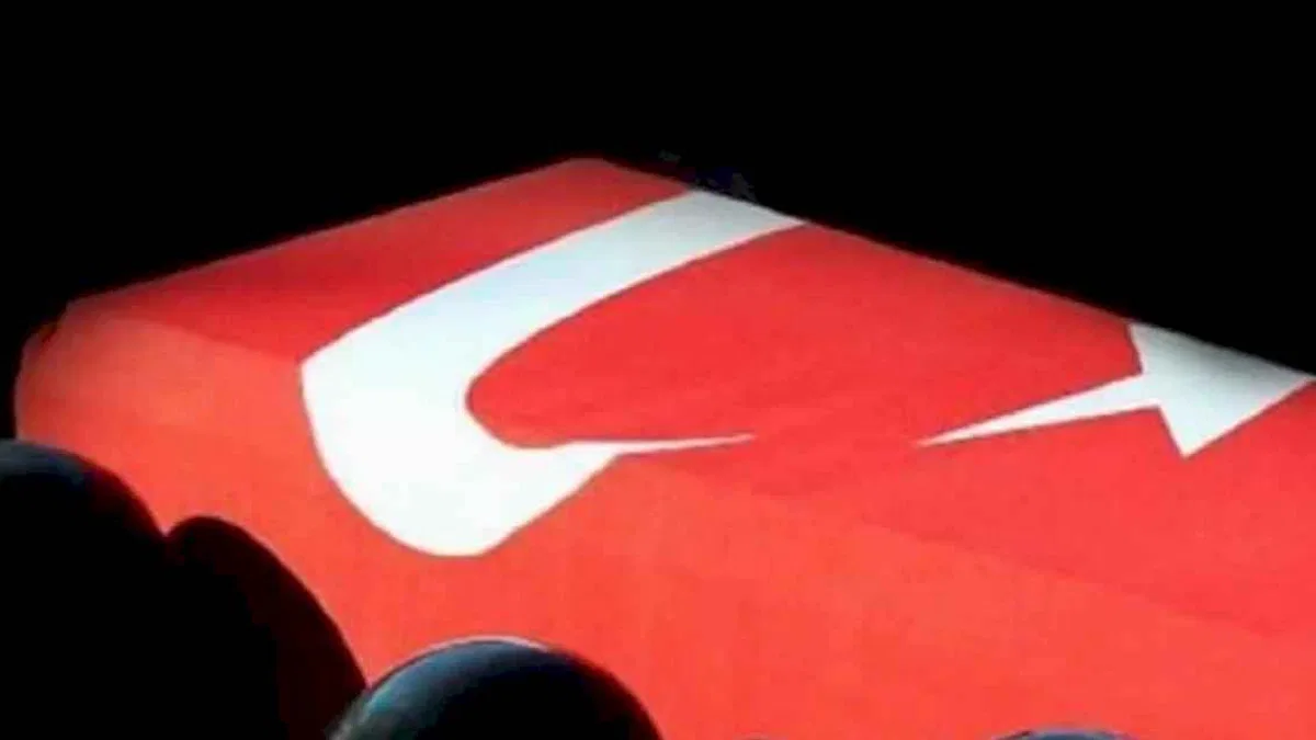 MSB'den acı haber: 2 şehit