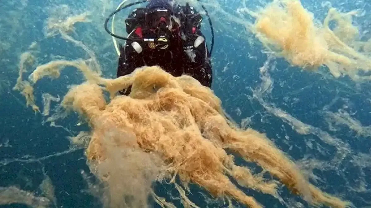Büyükakın: Marmara Denizi ‘Ben ölüyorum!’ diyor