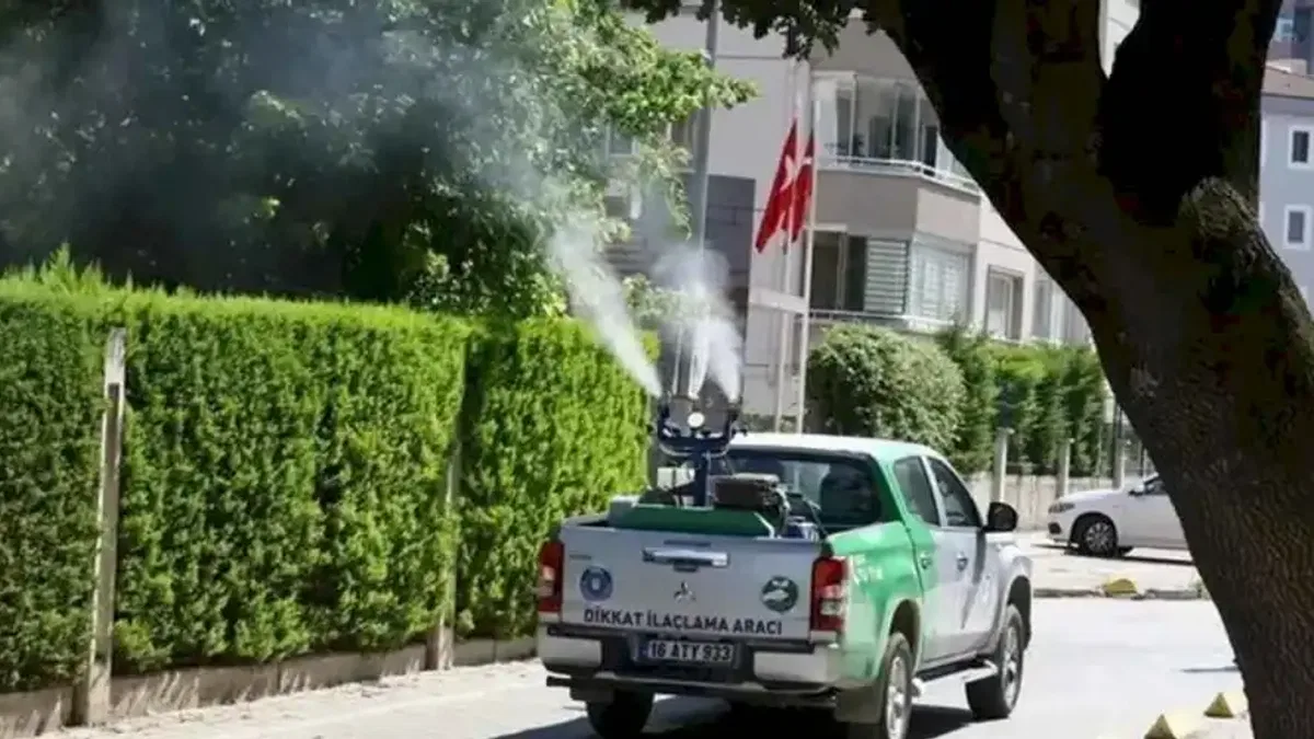 Bursa’da yetersiz ilaçlama, sinek istilasına kapı aralıyor