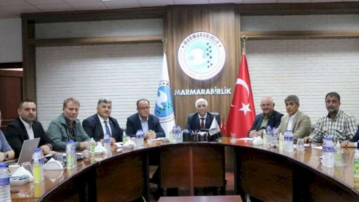 Bursa ve Balıkesir Ziraat Odaları'ndan zeytin teşekkürü