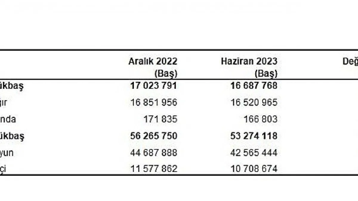 Büyükbaş hayvan sayısı 2023 yılı Haziran ayında 16 milyon 688 bin baş oldu
