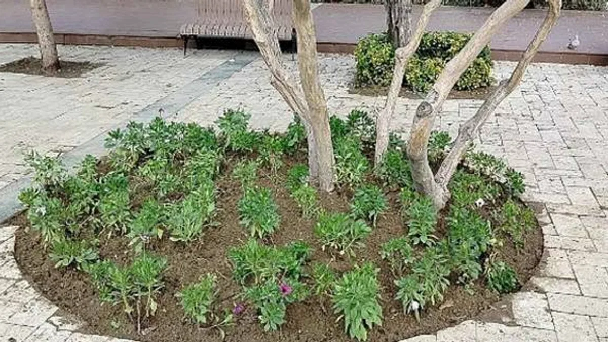 Büyükşehir'den Manisa'nın Yeşil Alanlarına Peyzaj Düzenlemesi