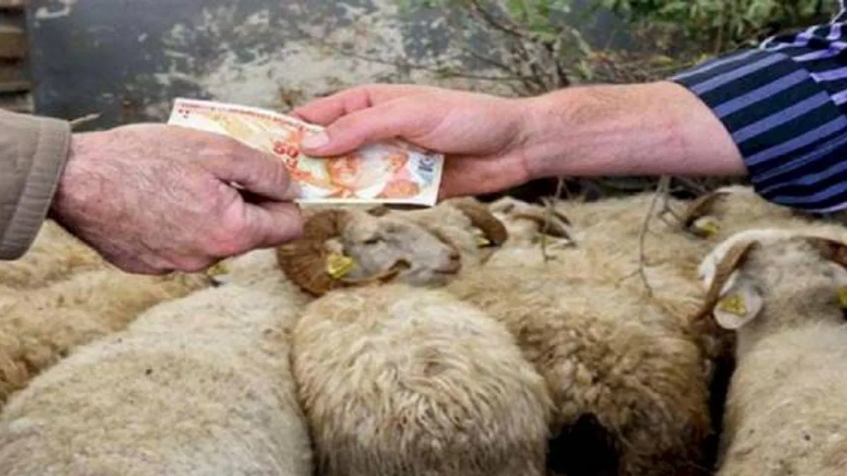 Kurbanlık satışını başvuru ile yapacaklar!