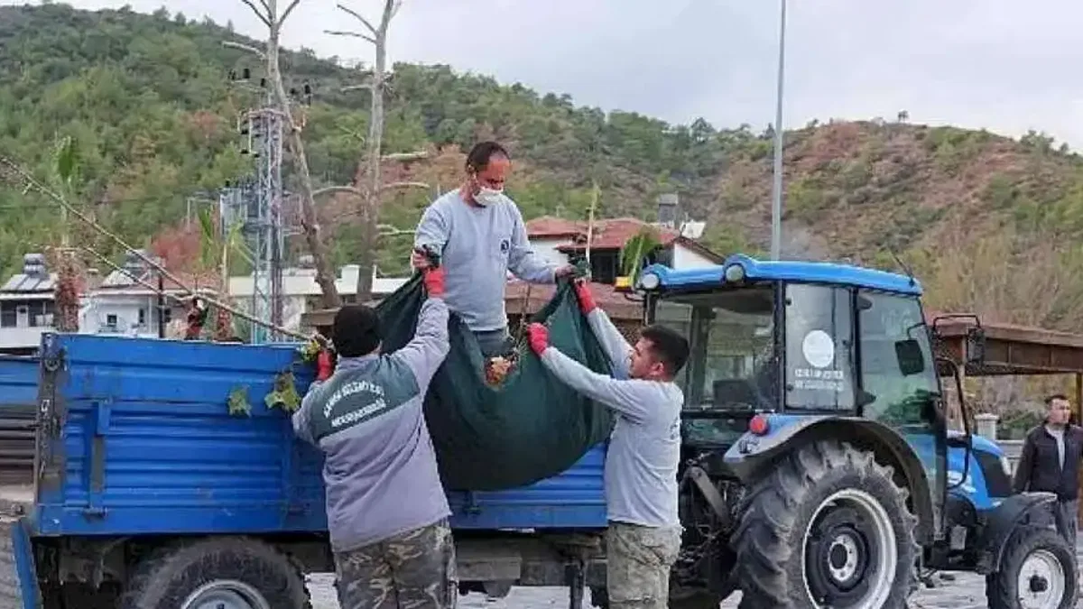 Bahçe atığı toplama programında pilot bölge: Arslanbucak
