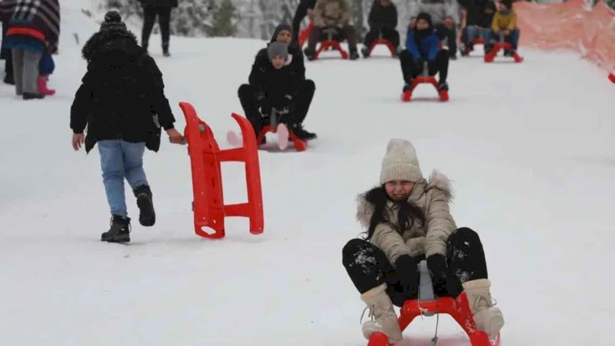Sakarya'da Akyazı Kızak Şenliği'ne yoğun katılım