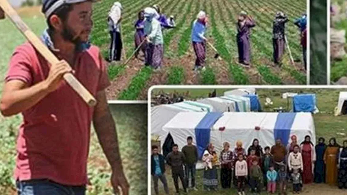 Tarım işçilerine en yüksek ödeme yapan iller?