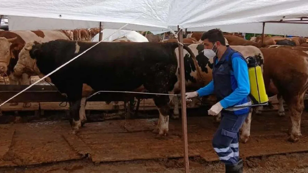 Trabzon’da kurban alanlarında hijyen seferberliği