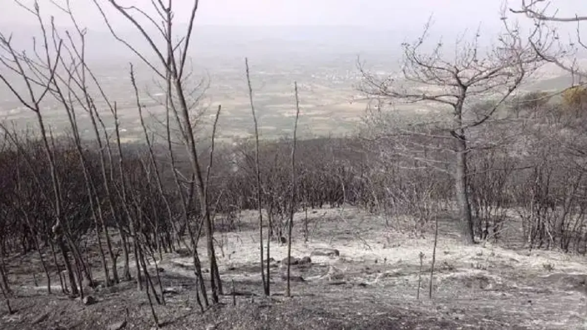 Manisa'dan İzmir Ödemiş yangınına destek