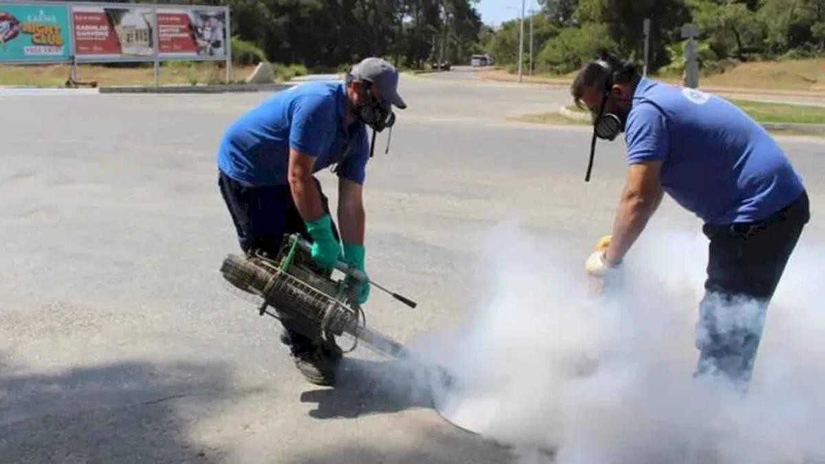 Antalya’nın tüm ilçelerinde haşereyle mücadele sürüyor
