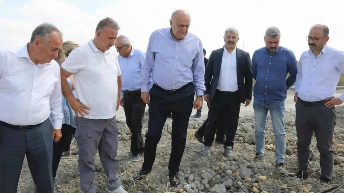 Konya Şeker’den yerli patates tohumu müjdesi... 2027’de dışa bağımlılık bitecek