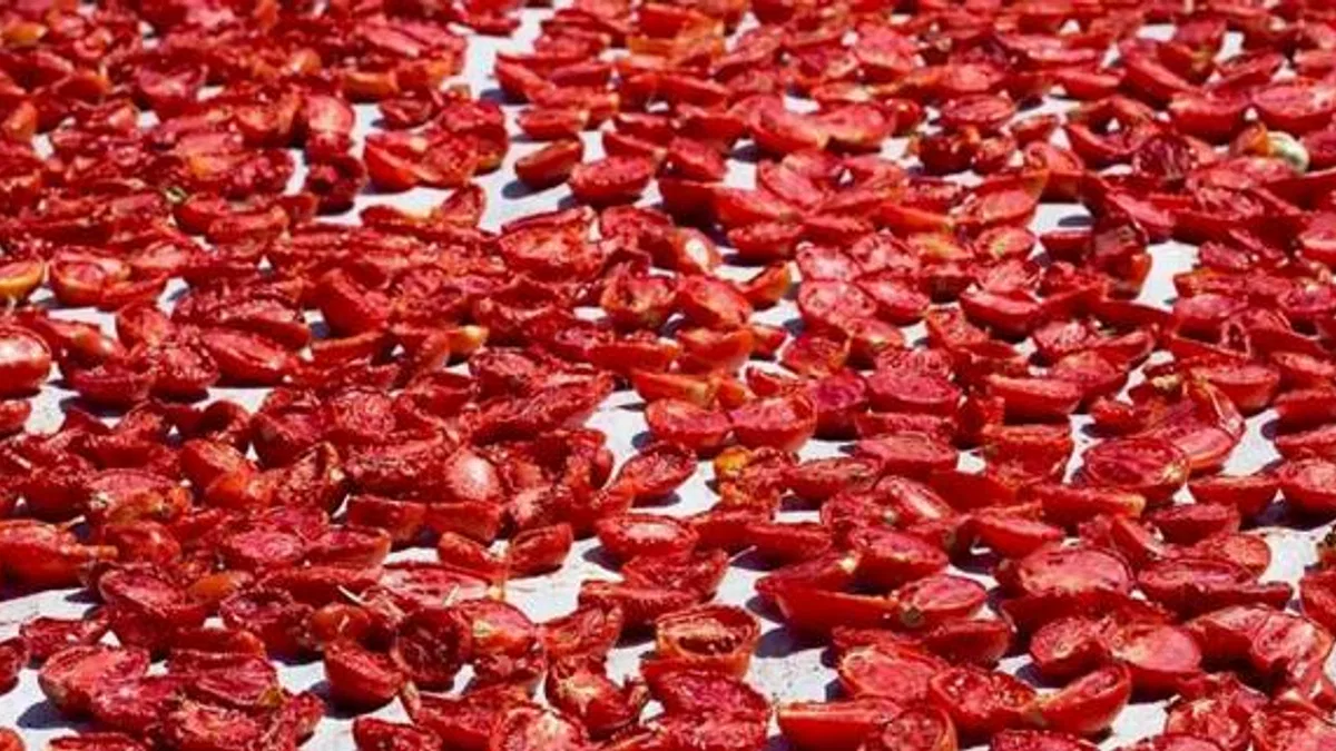 Şifa deposu kuru domates ihracatta dünya ikincisi