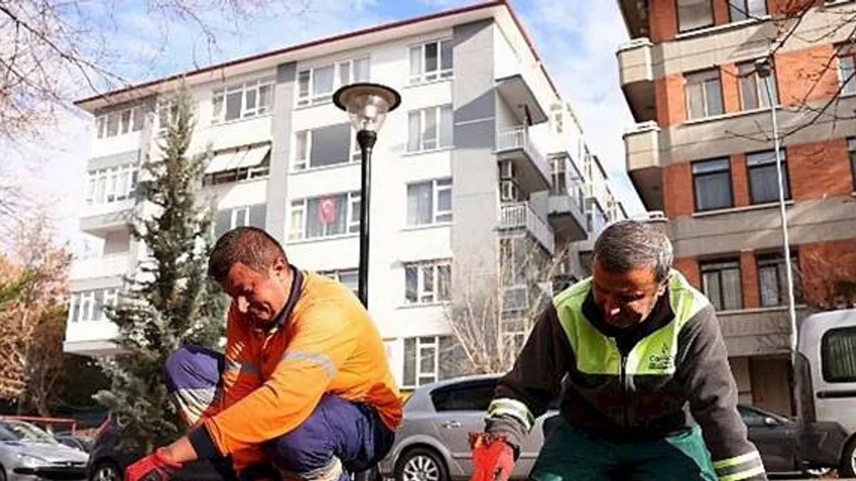 Çankaya parkları çiçek açıyor
