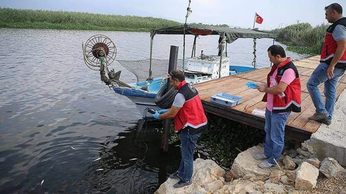 Hatay'da balık ölümleri görülmesi üzerine inceleme başlatıldı