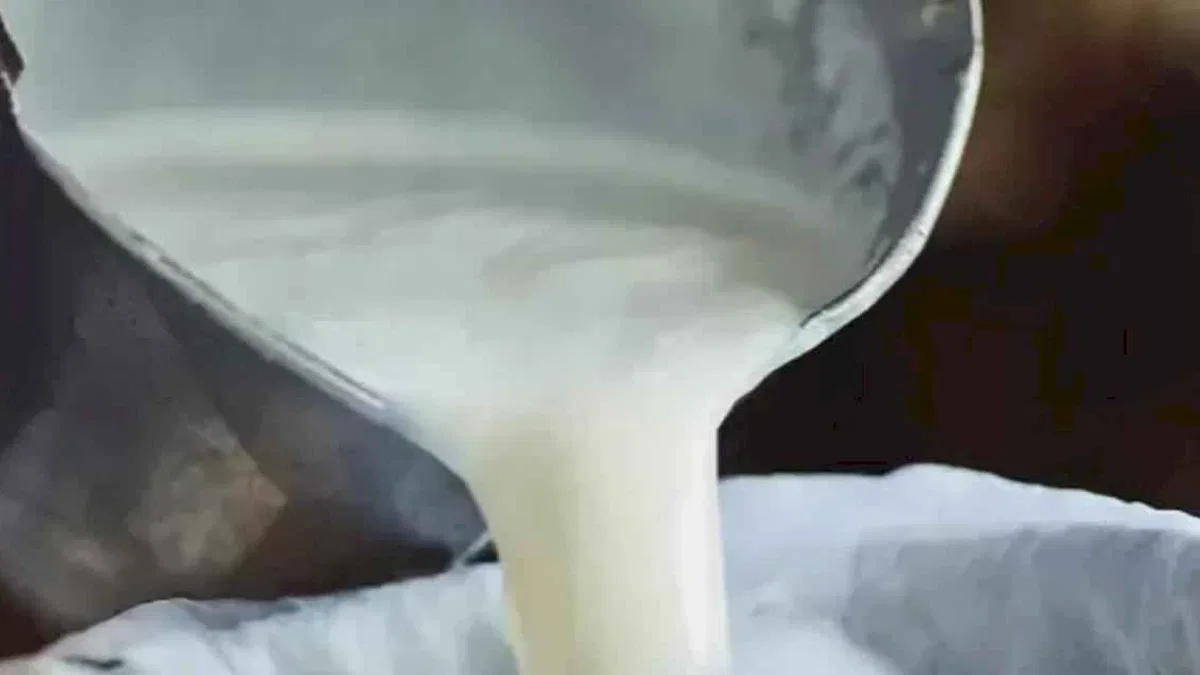 Şubat'ta süt ürünleri üretiminde düşüş... Ayran ve kefir üretimi yüzde 6,9 arttı