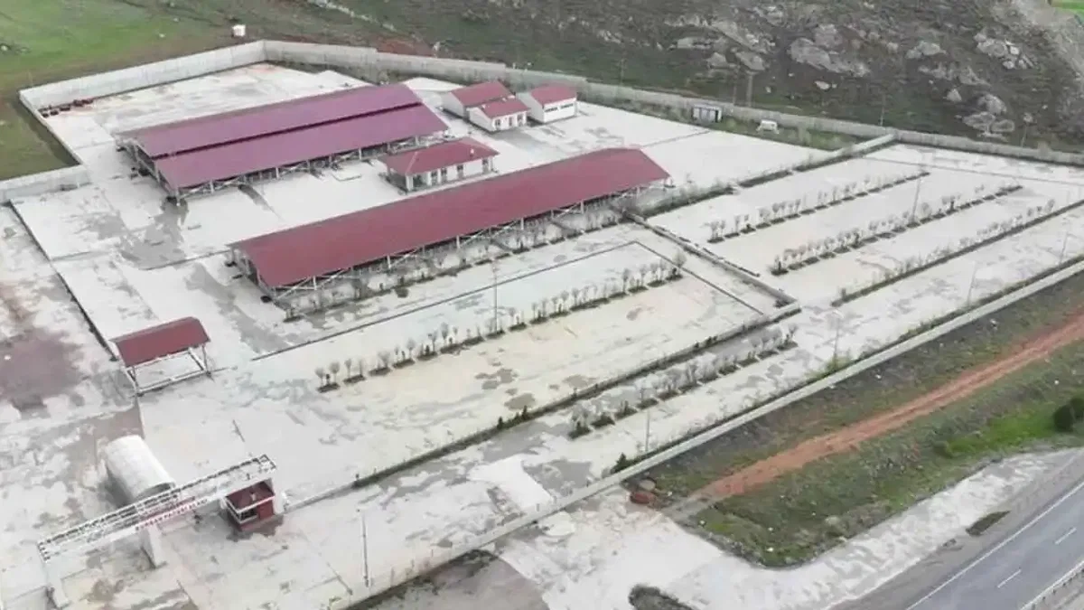 Sivas’ta kurban pazarı Kovalı'ya kuruluyor