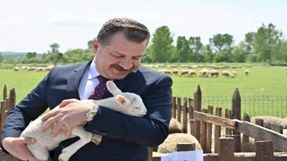 Hayvancılık atağı başladı