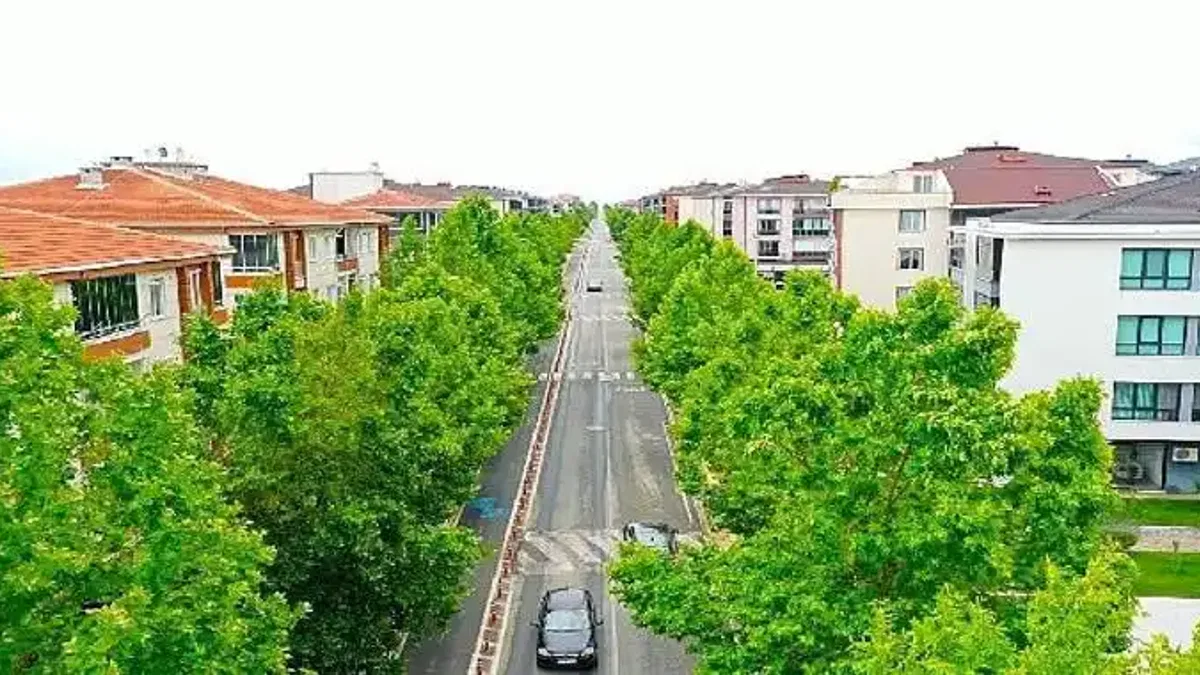 "Yıllar önce dikilen ağaçlar yeşil koridor oluşturdu"