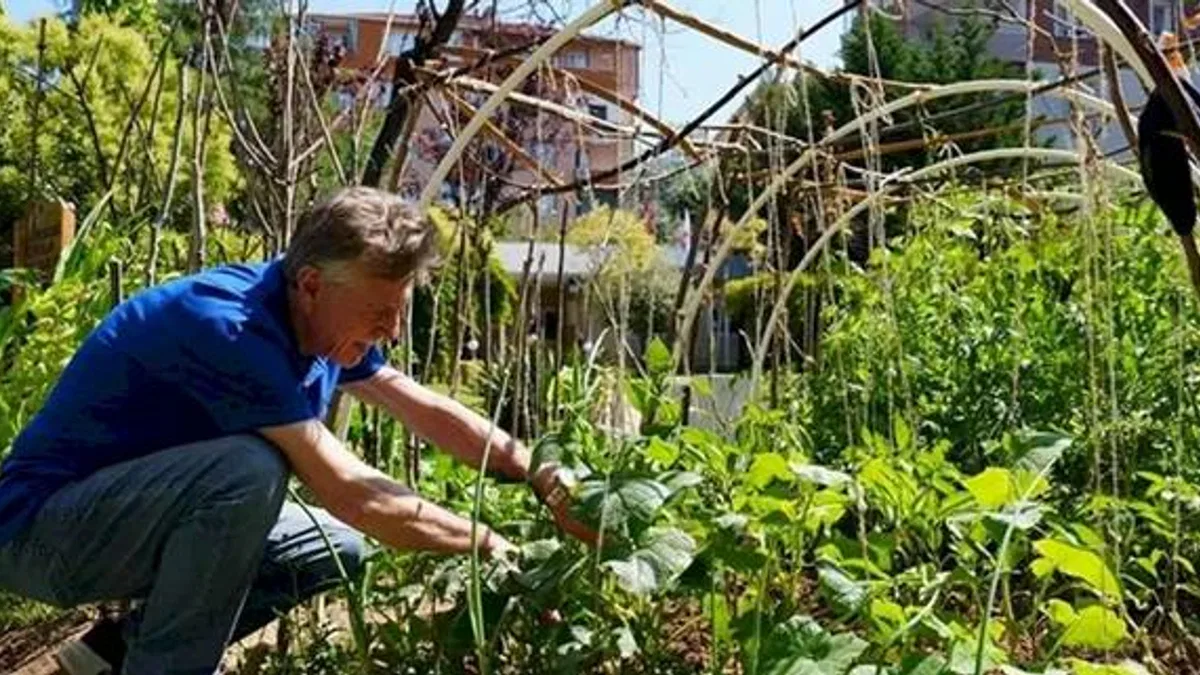 İstanbul Maltepe’de altın yıllara yeşil bir nefes