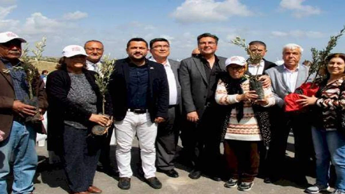 Üreticiye zeytin fidanı desteği