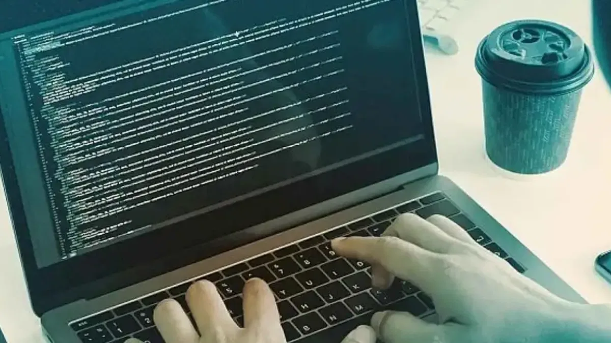 Serbest çalışan yazılımcılar hedefte