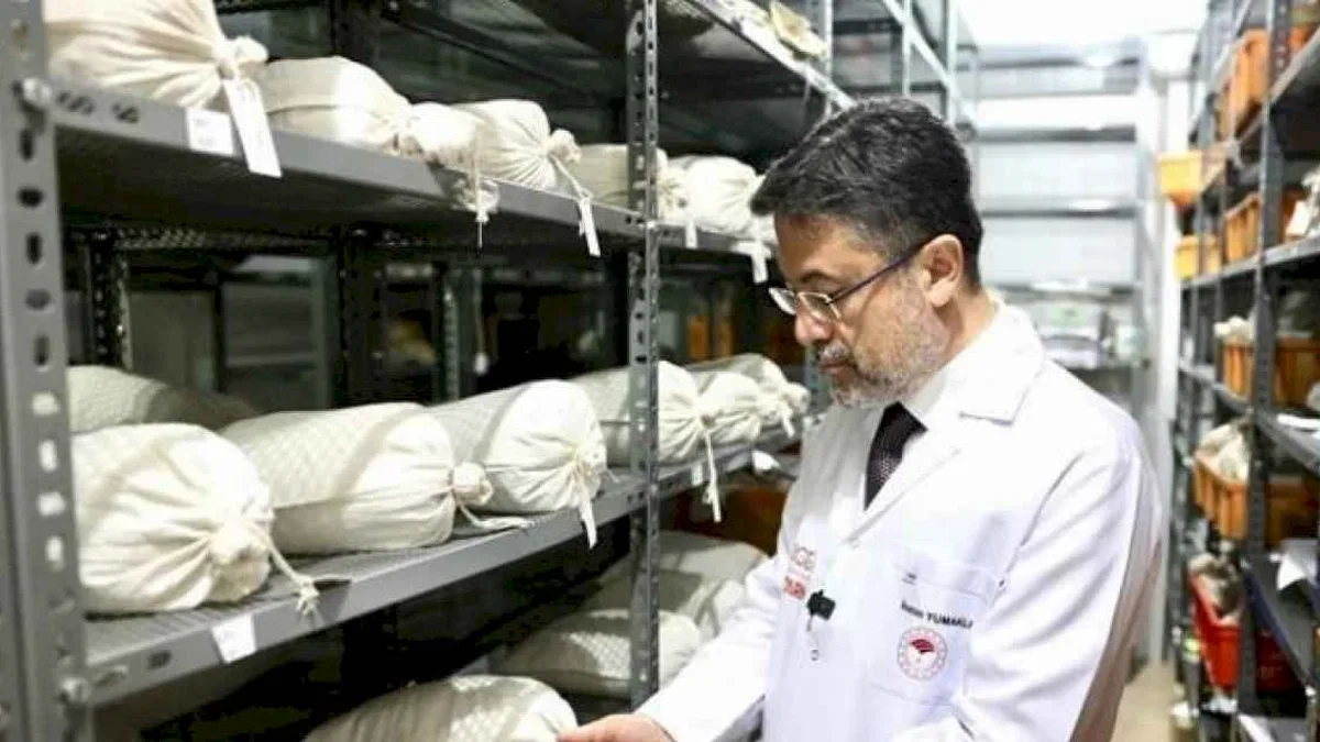 120 bin genetik materyal 'banka'larda korunuyor