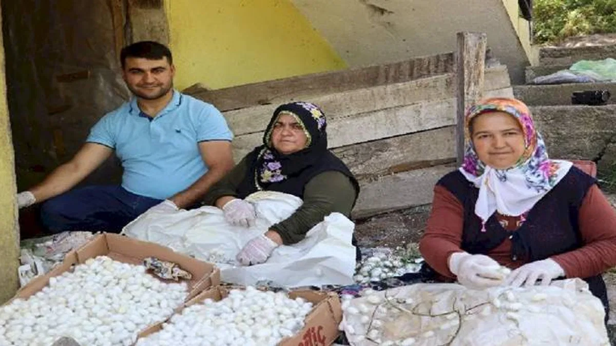 Evlerde üretilen 1 kilo kozadan 400 lira kazanıyorlar