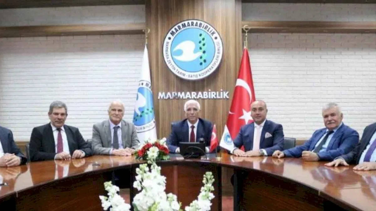 Zeytin üreticisine 860 milyon TL kredi desteği